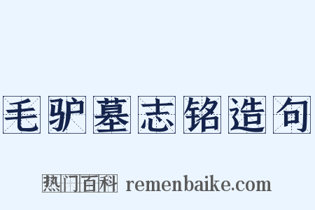 毛驴墓志铭造句是什么意思的图片